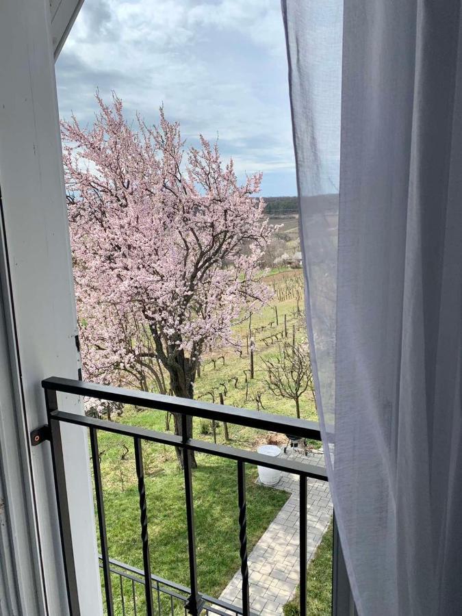 Szoloskert Vendeghaz Balatonszolos Eksteriør billede